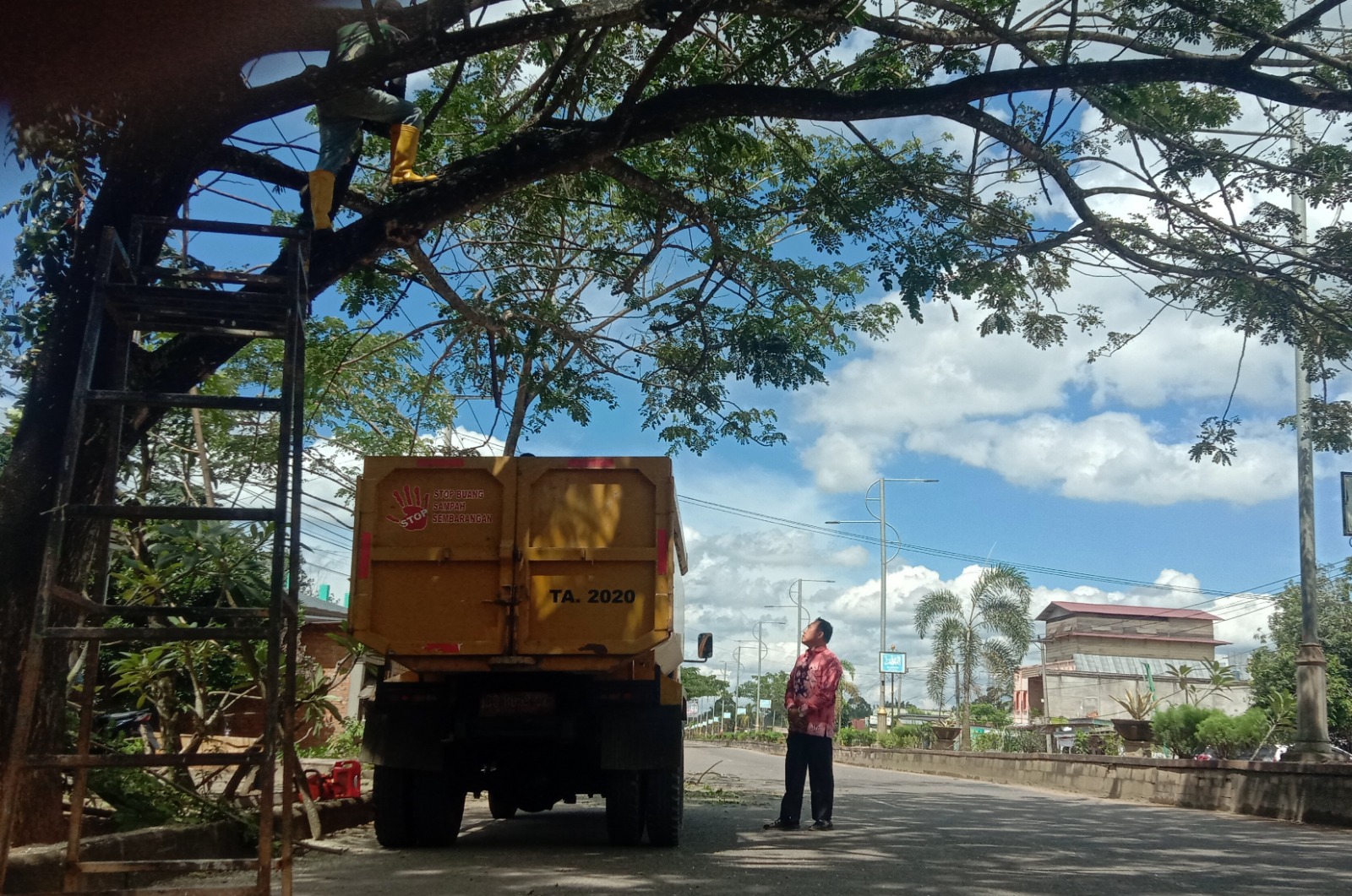 Dahan Sudah Mengganggu, DLHP Muratara Pangkas Pohon Penghijauan di Jalinsum 