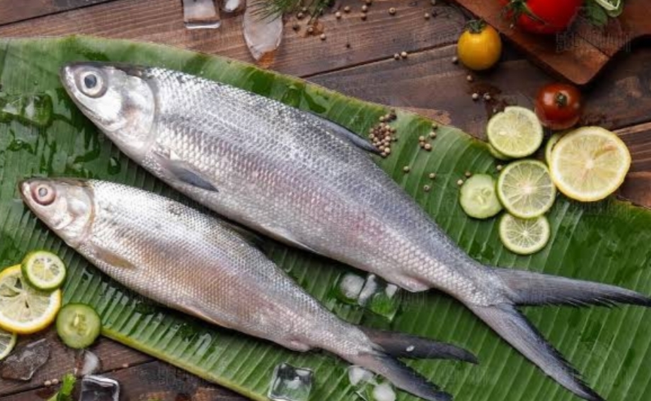 Serba Serbi Jelang Imlek, Inilah Alasan Mengapa Ikan Bandeng Digemari Masyarakat Tionghoa