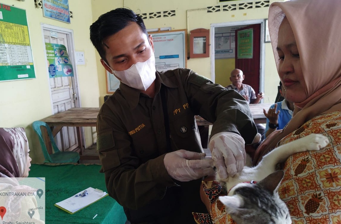 Target Dinas Pertanian Prabumulih Sepanjang Tahun 2023, 2 Ribu Ekor Hewan Bakal Disuntik Vaksin Rabies