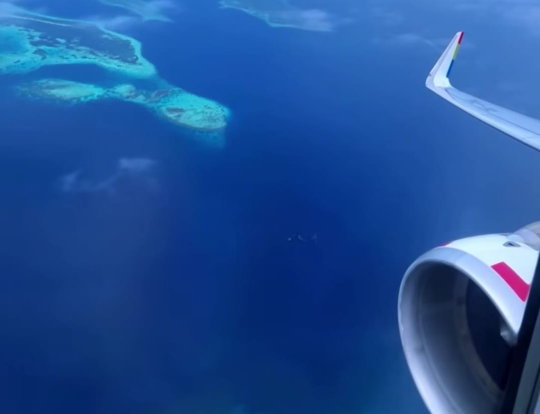 Pelita Air Tambah Armada Airbus A320 PK-PWO, Perkuat Konektivitas 17 Kota dan Buka Rute Internasional