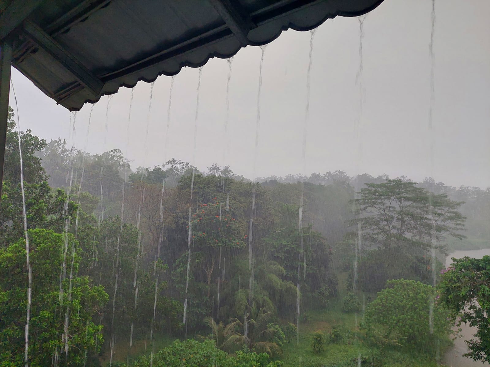 CEK, Ini Prakiraan BMKG Cuaca Sumsel dan Peringatan Dini Bengkuku Babel dan Lampung