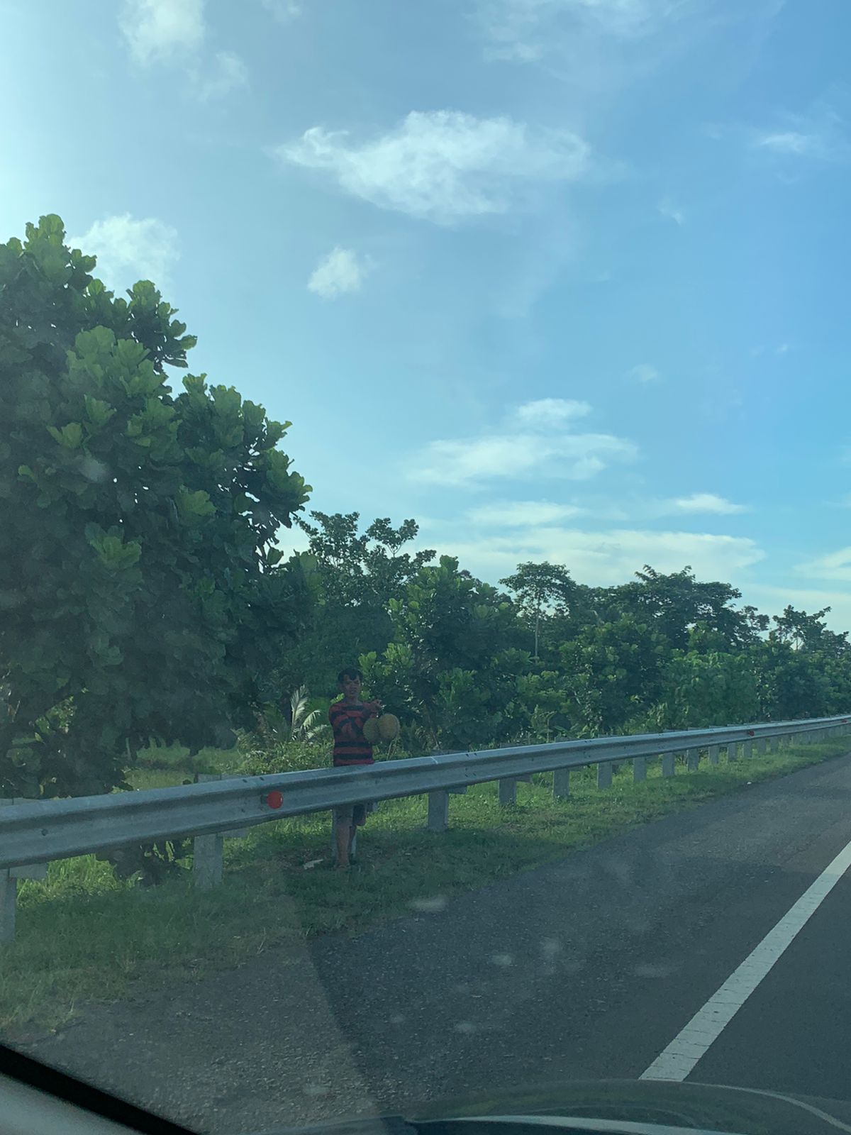 Langsung Jatuh di Kebun, Tawarkan Buah Durian di Pinggir Ruas Tol Kayuagung-Palembang