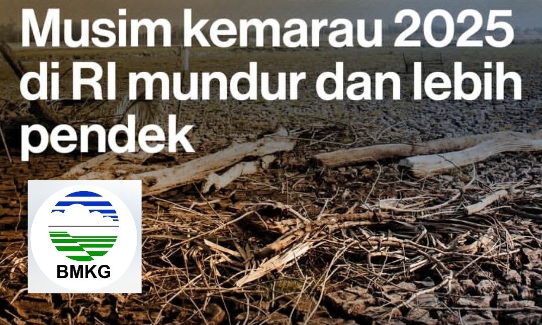 Mengapa Musim Kemarau 2025 Mundur dan Berdurasi Lebih Pendek, Berikut Ini Penjelasan BMKG