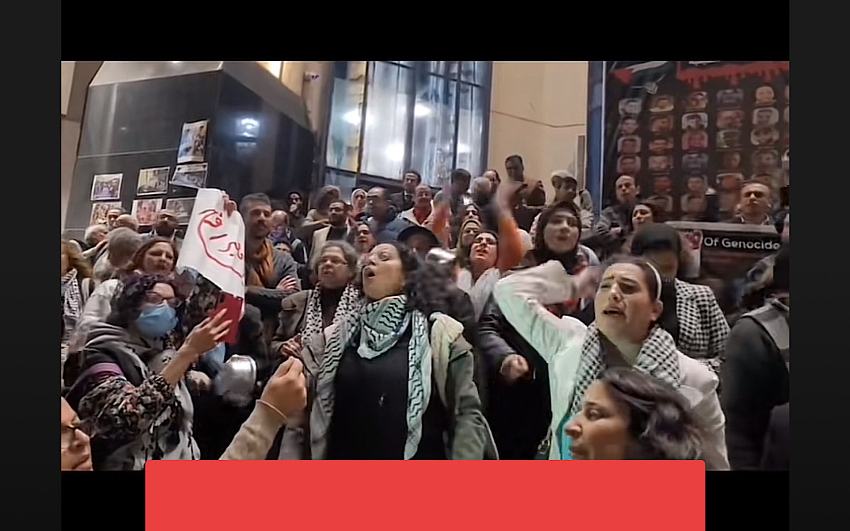 Massa Demo di Mesir Teriak Malu, Cucu Mandela Bela Palestina di ICJ, Kairo Dicekam Rasa Takut Membela Gaza! 