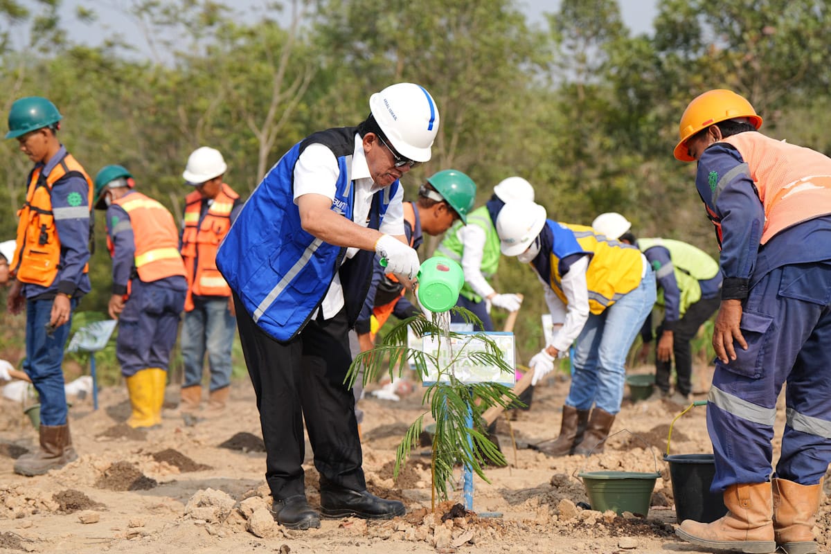 PTBA Kembangkan Energi Biomassa dari Kaliandra Merah, Ternyata Ini Manfaatnya