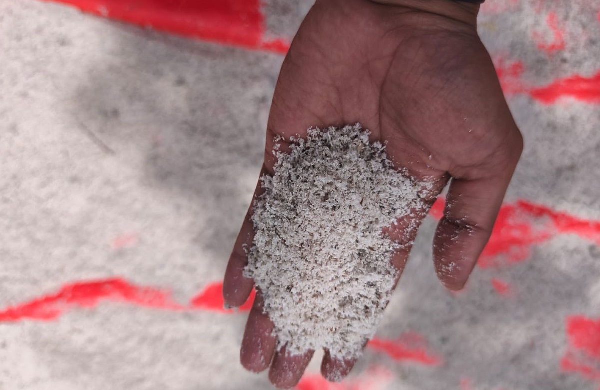 Cara Sulap Ampas Kelapa Jadi Pakan Hewan Ternak Cocok untuk Peternak Pemula