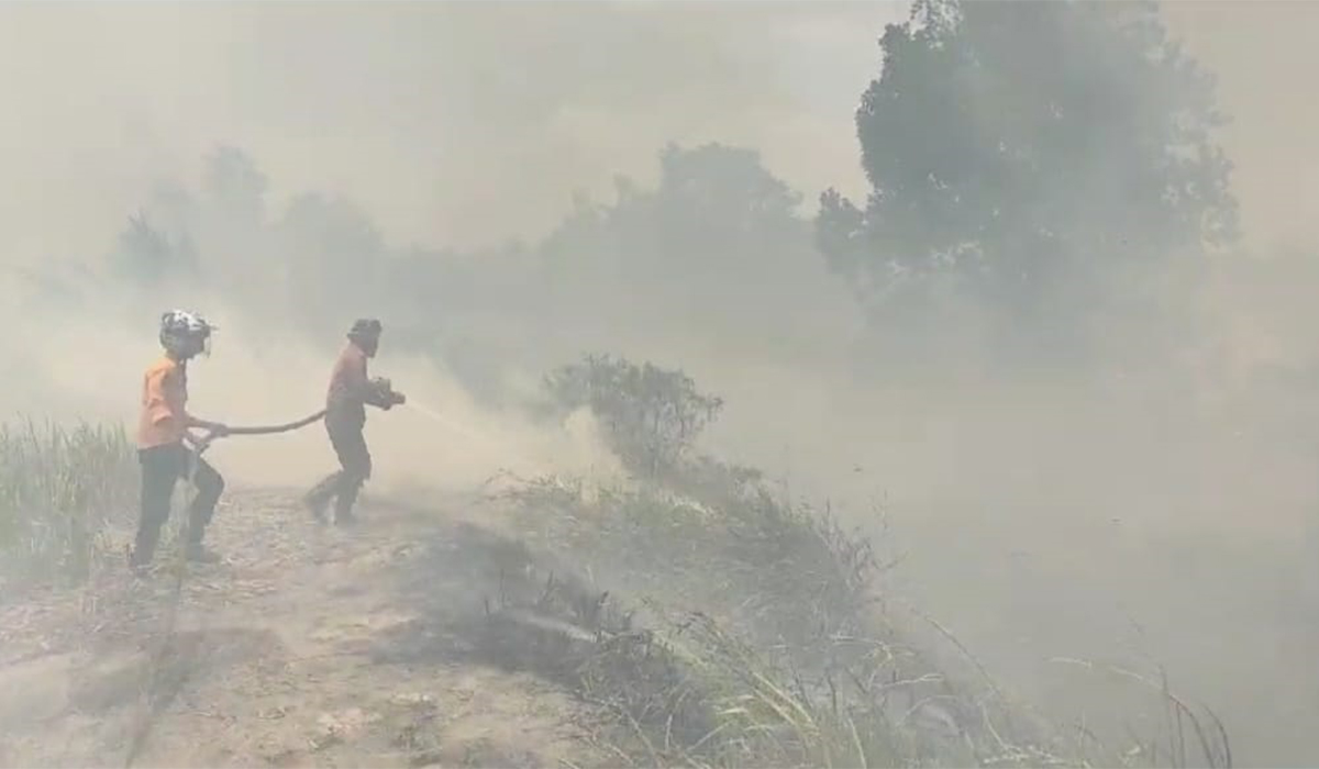 Hampir Setiap Hari Kebakaran, 421.78 Hektare Lahan di Ogan Ilir Sudah Terbakar