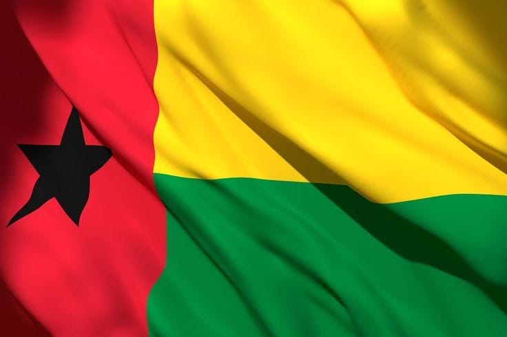 Mengenal Guinea, Negara di Afrika Barat yang Jarang Terekspos Ternyata Sudah Tersentuh Islam Sejak Abad 10M