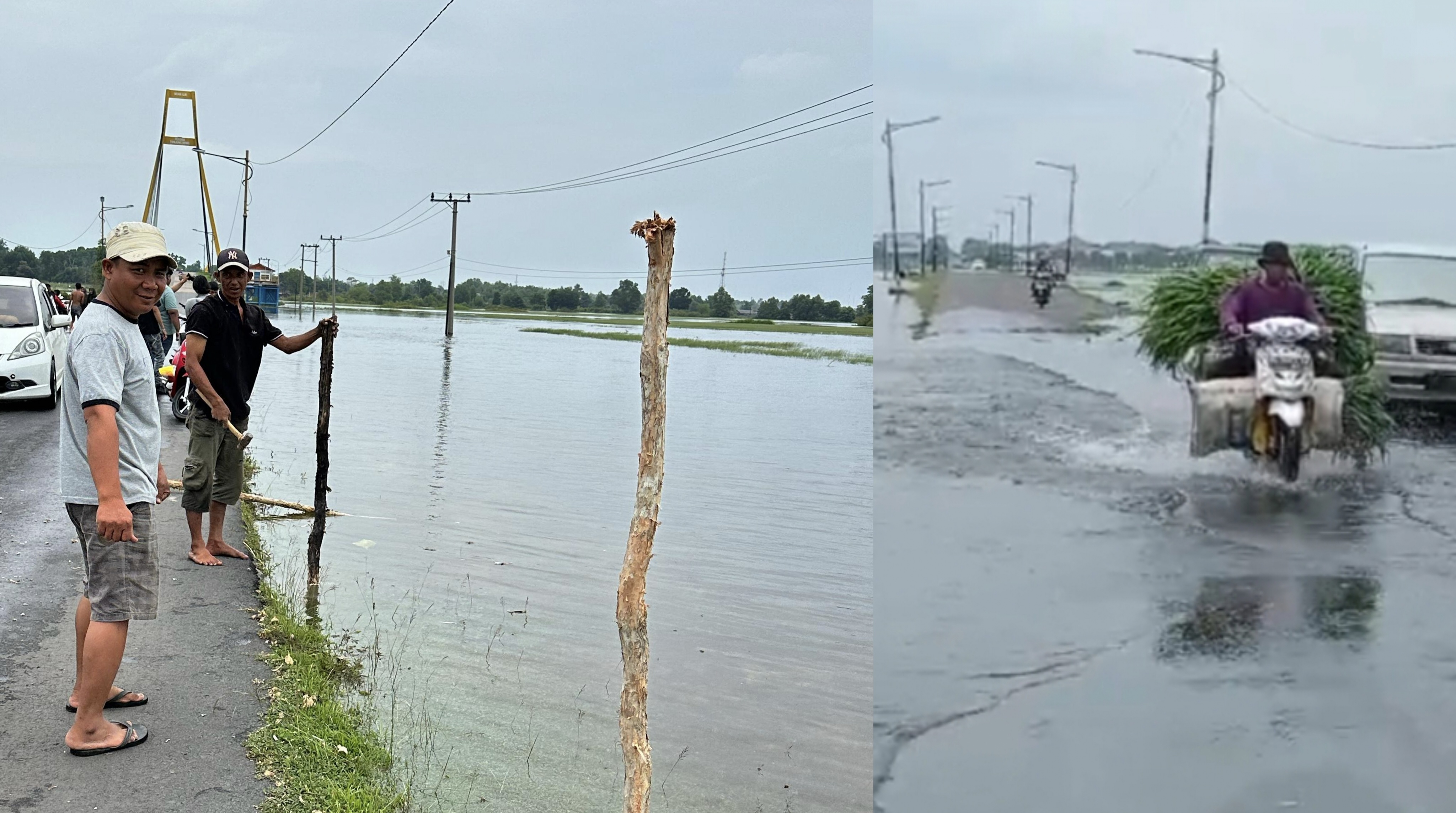 Gerak Cepat Dinas PUPR Ogan Ilir, Pasang Patok Gelam di Lokasi Banjir Akses Tanjung Senai