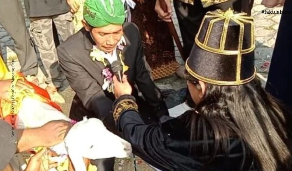 Buntut Pernikahan Kambing, Ketua BK Dicopot