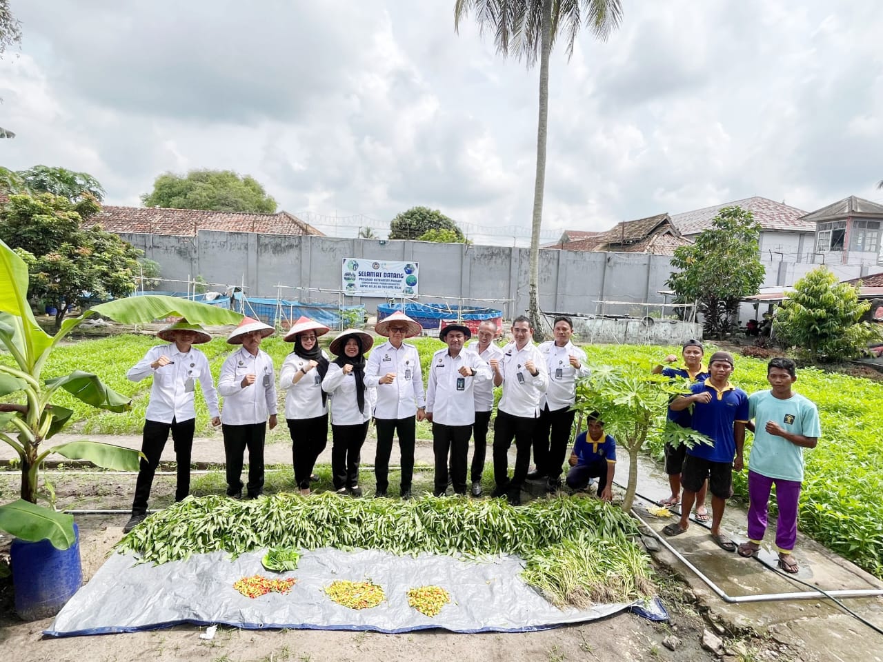 Lapas Tanjung Raja Ogan Ilir Panen Raya Kangkung dan Cabai, Wujud Nyata Program Ketahanan Pangan