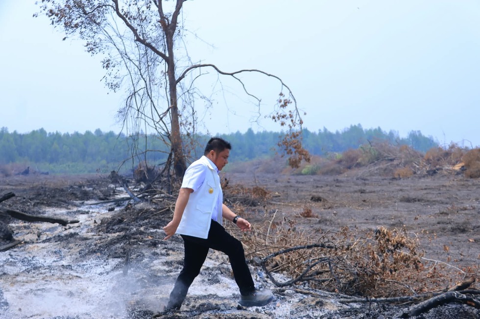Gubernur Sumsel Tekankan Pencegahan dan Keterlibatan Masyarakat untuk Tangani Karhutla