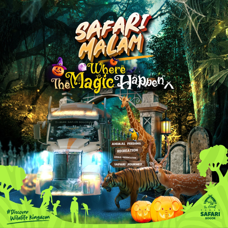 Berani Uji Nyali? Rasakan Sensasi Magis dan Seram di Safari Malam Halloween Taman Safari Bogor!