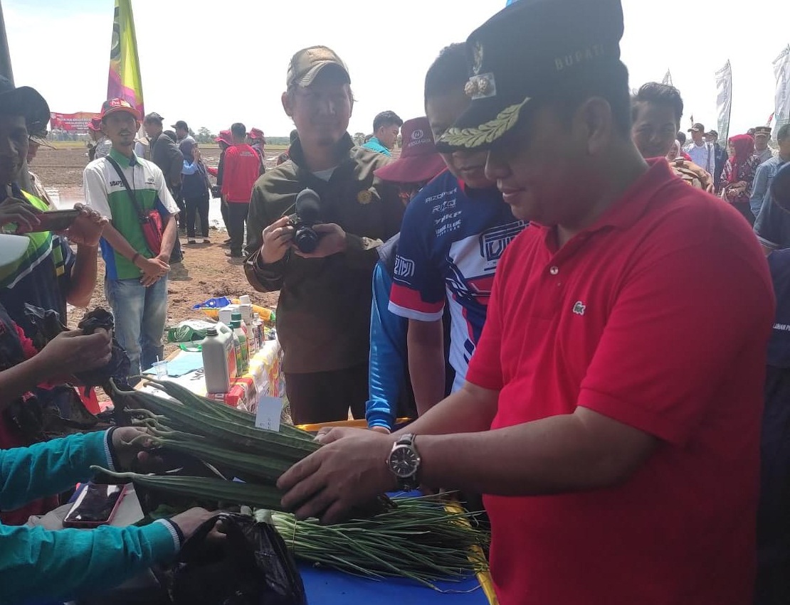 Askolani Borong Sayur, Program Gertas Terbukti Berhasil