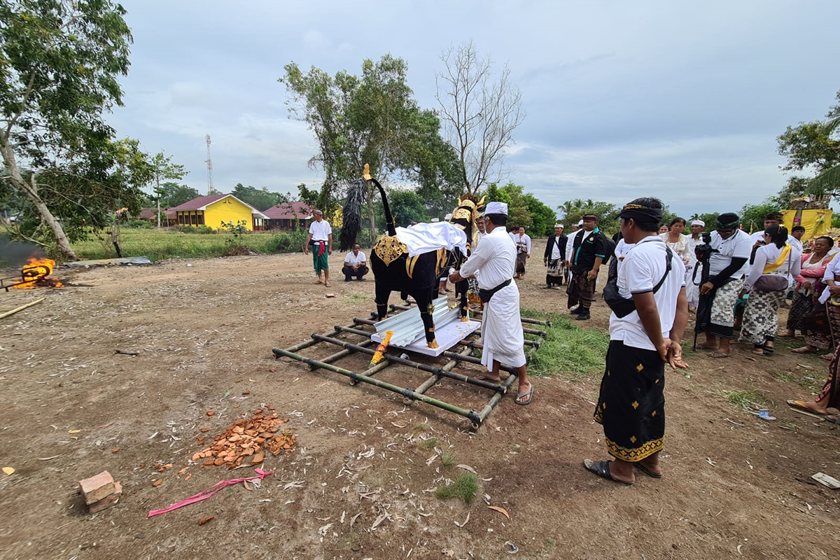 Ngaben Perdana di Desa Muktijaya: Penghormatan Terakhir yang Penuh Khidmat dan Lancar