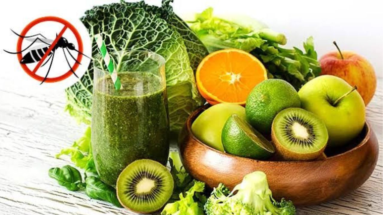 Awas Gejala DBD di Bulan Februari! Cara Meningkatkan Trombosit Secara Alami