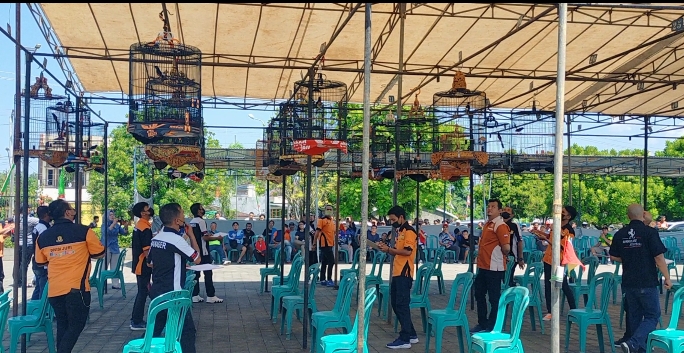 Ratusan Kicau Mania dari Pulau Sumatera dan Jawa Ikuti Bupati Cup Empat Lawang 2022