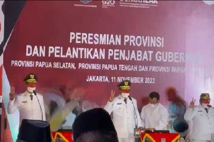 Mendagri Lantik 3 Pj Gubernur DOB Di Papua, Ini Wilayahnya