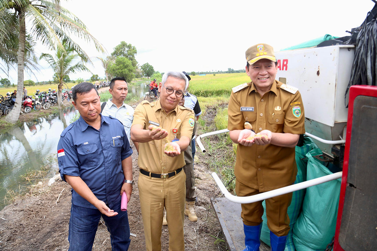 Menko Pangan dan Pj Gubernur Sumsel Panen Raya di Desa Sri Menanti, Banyuasin