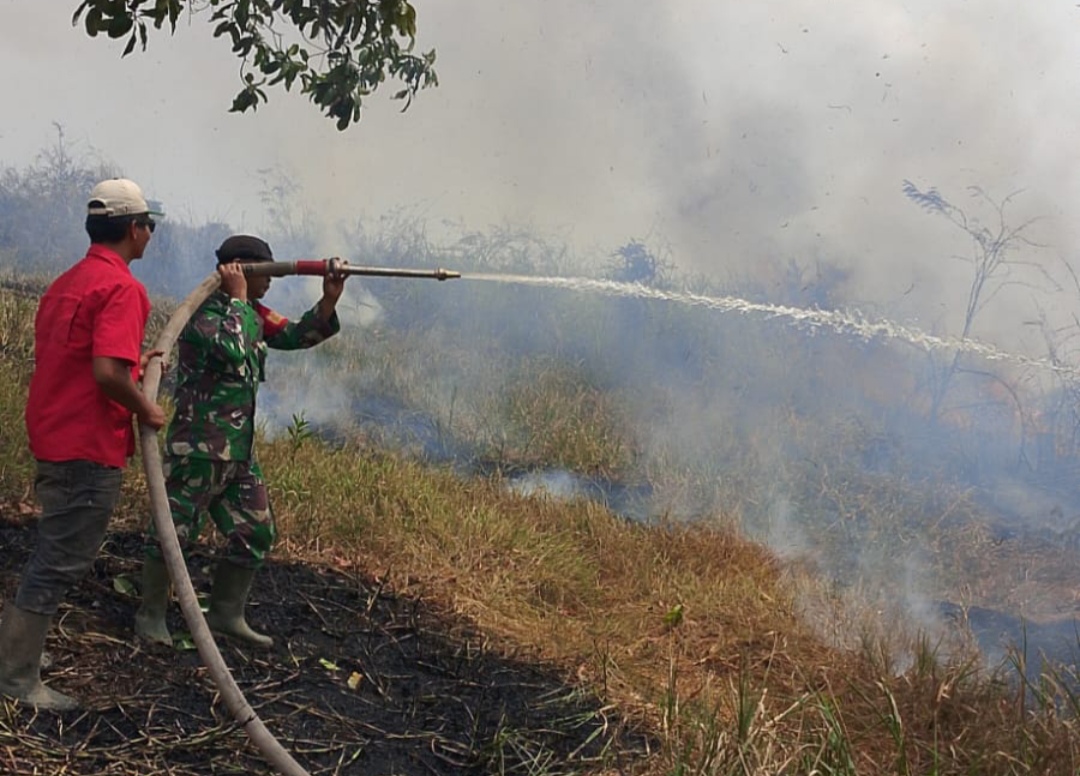 Pantang Menyerah, Babinsa Pedamaran Kendalikan Karhutla di Pedamaran OKI