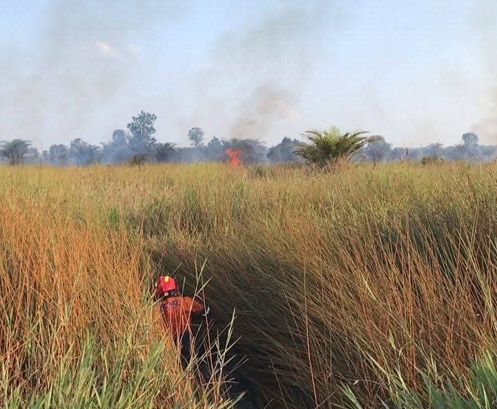 Hingga Mei 2025, Sudah 5,7 Hektare Lahan di Ogan Ilir Terbakar, Tim Gabungan Siagakan Diri Hadapi Karhutla