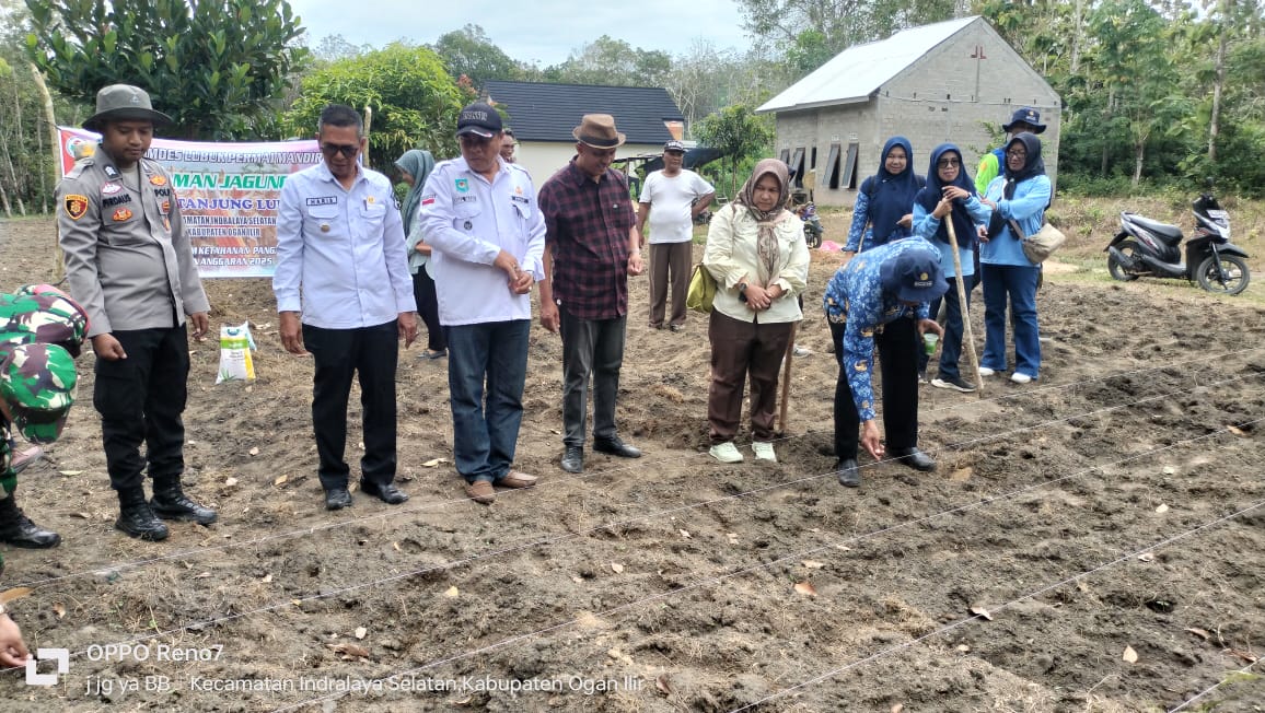 Penanaman Jagung Unggul di Desa Tanjung Lubuk Indralaya Selatan Ogan Ilir, Dukung Ketahanan Pangan Nasional