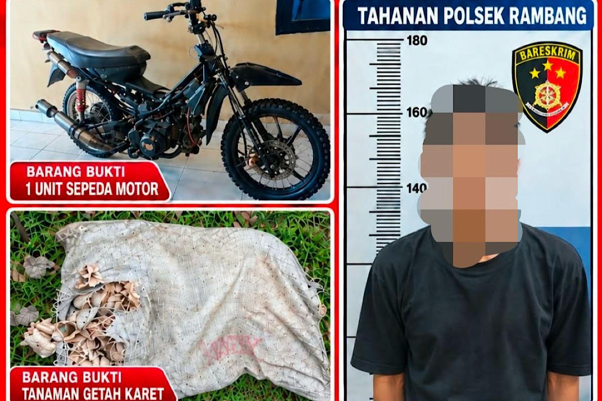 Curi 40 Kg Getah Karet, Residivis Dibekuk Polisi