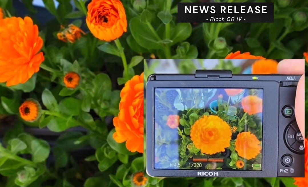 Legend is Back, Ricoh GR IV Kamera Saku Minimalis dengan Autofokus Hybrid dan Stabilisasi 5-Sumbu