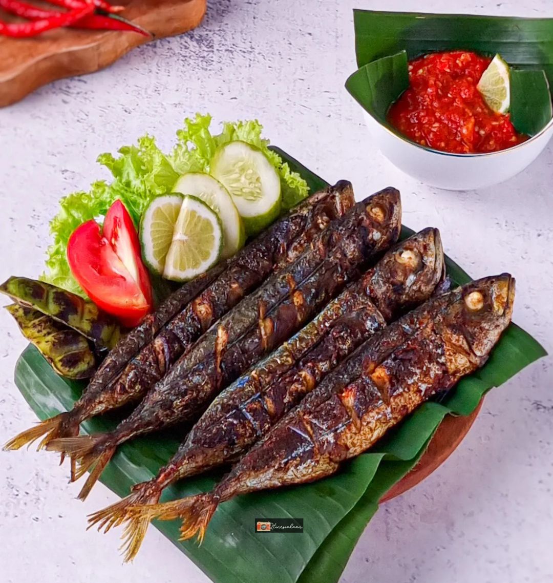 Ikan Salem Miliki Sejuta Manfaat, Kaya Omega 3, Kalsium Hingga Mencegah Kangker Payudara