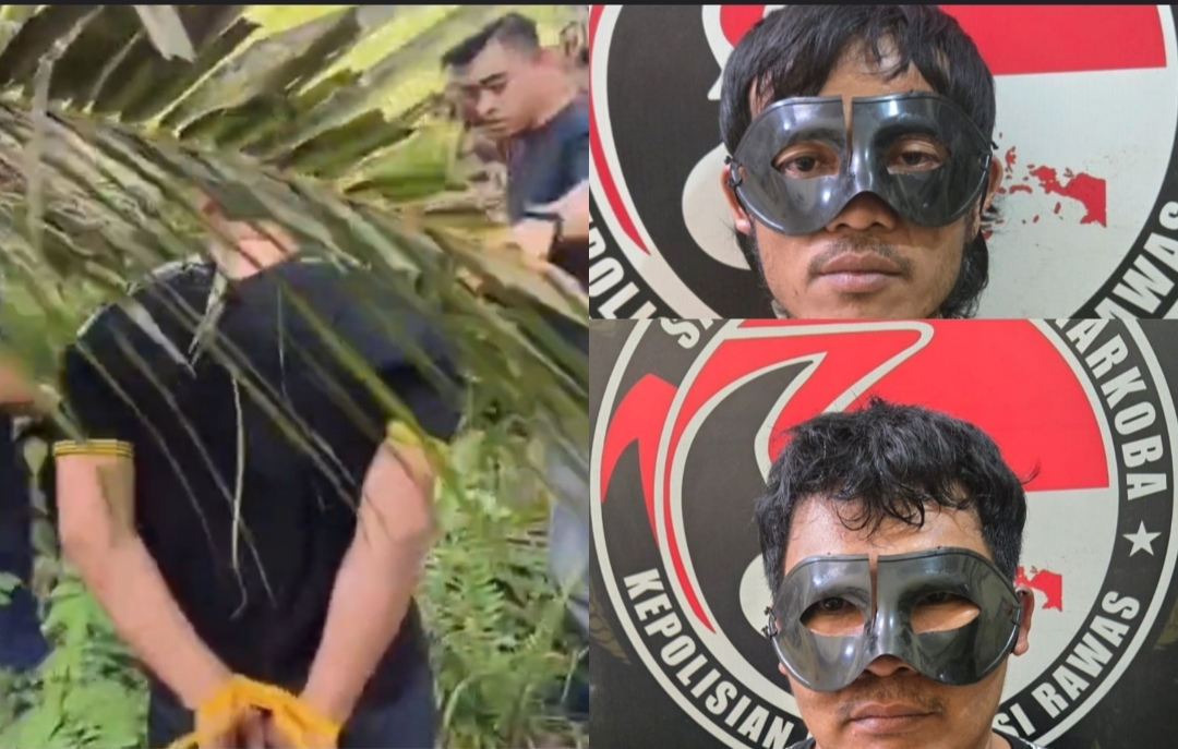 Polisi Gerebek Kebun Sawit di Musi Rawas, Dua Terduga Pengedar Sabu Diamankan