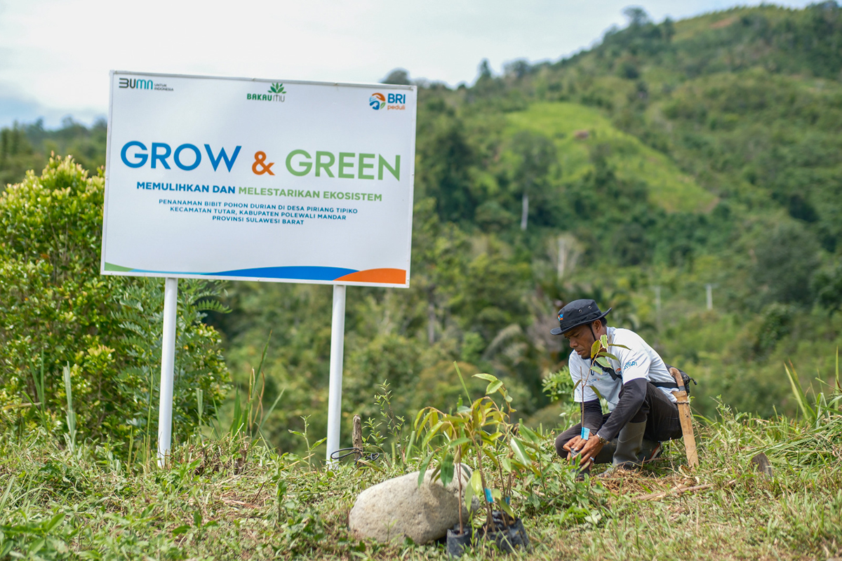 Bangkitkan Harapan Petani di Lahan Kritis, BRI Menanam Grow dan Green Salurkan Bantuan Tanaman Produktif