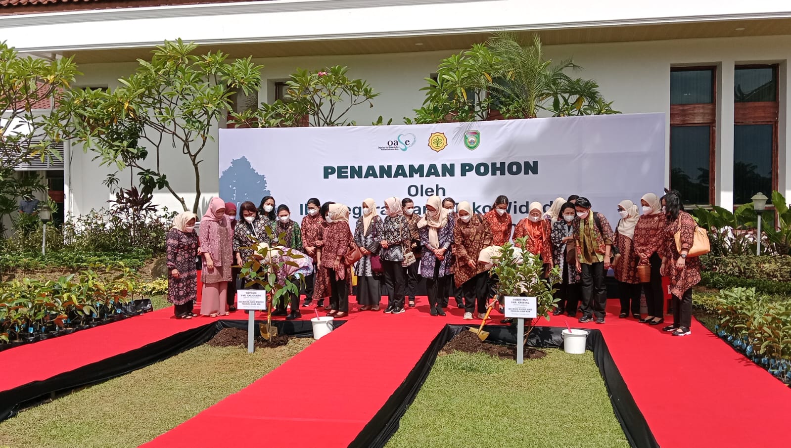 Iriana Jokowi Tiba di Griya Agung Palembang, Saksikan Proses Pembuatan Tenun Songket dan Tanam Pohon Manggis