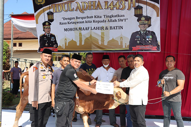 Polres Musi Rawas Kurban 14 Sapi dan 7 Kambing