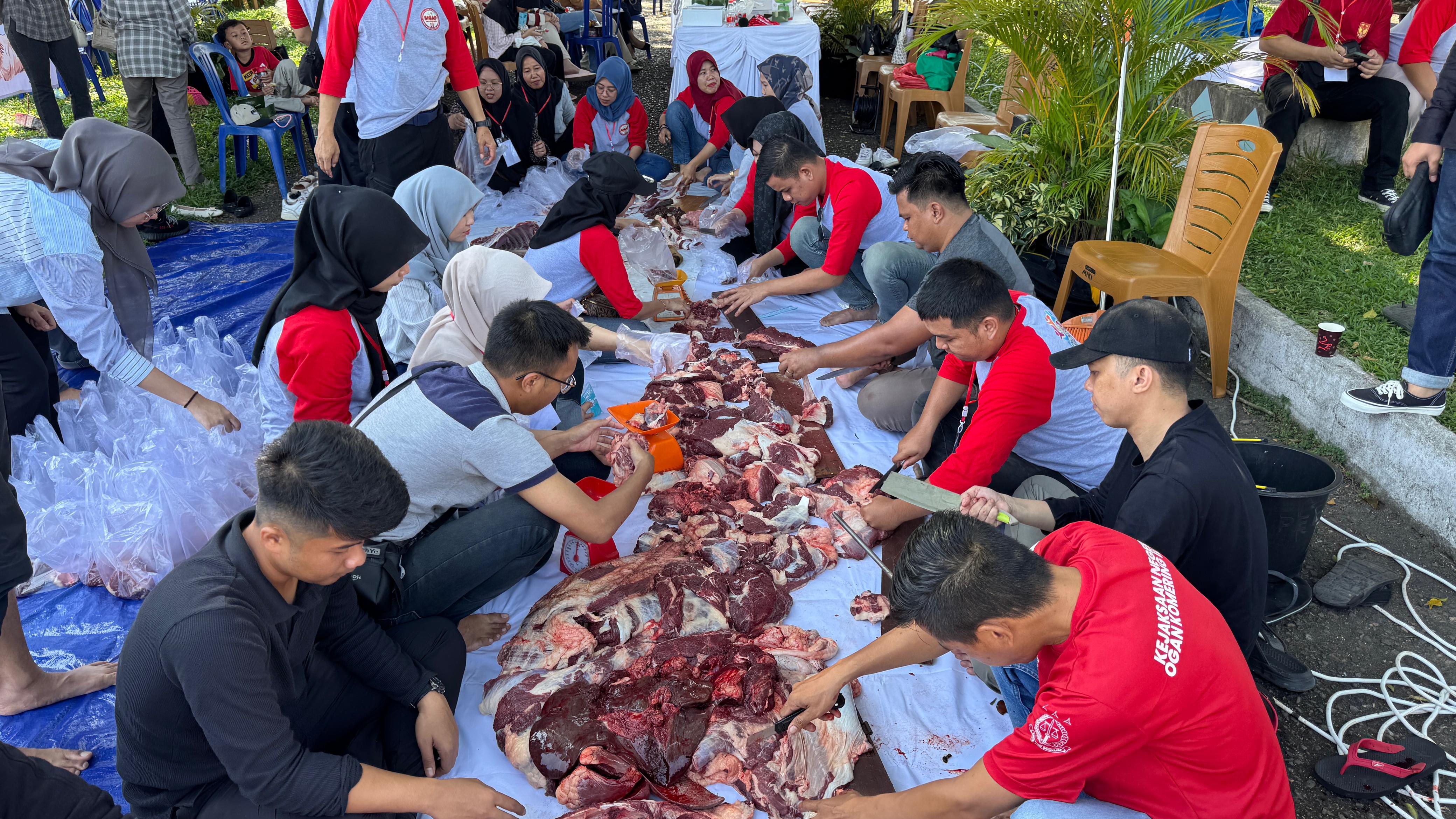Ratusan Kantong Daging Kurban Dibagikan ke Masyarakat, Kejari OKI Potong 1 Sapi dan 1 Kambing