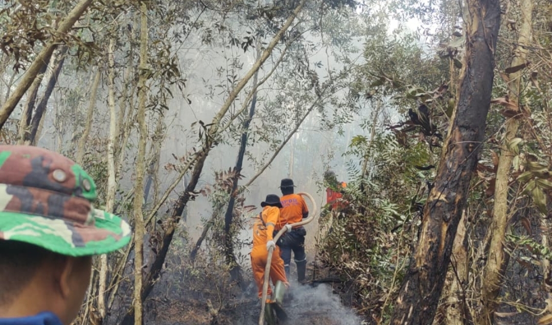 Karhutla di Kabupaten Ogan Ilir, 87 Hektare Lebih Lahan Sudah Terbakar, Pekan Pertama Agustus Capai 41 Kali