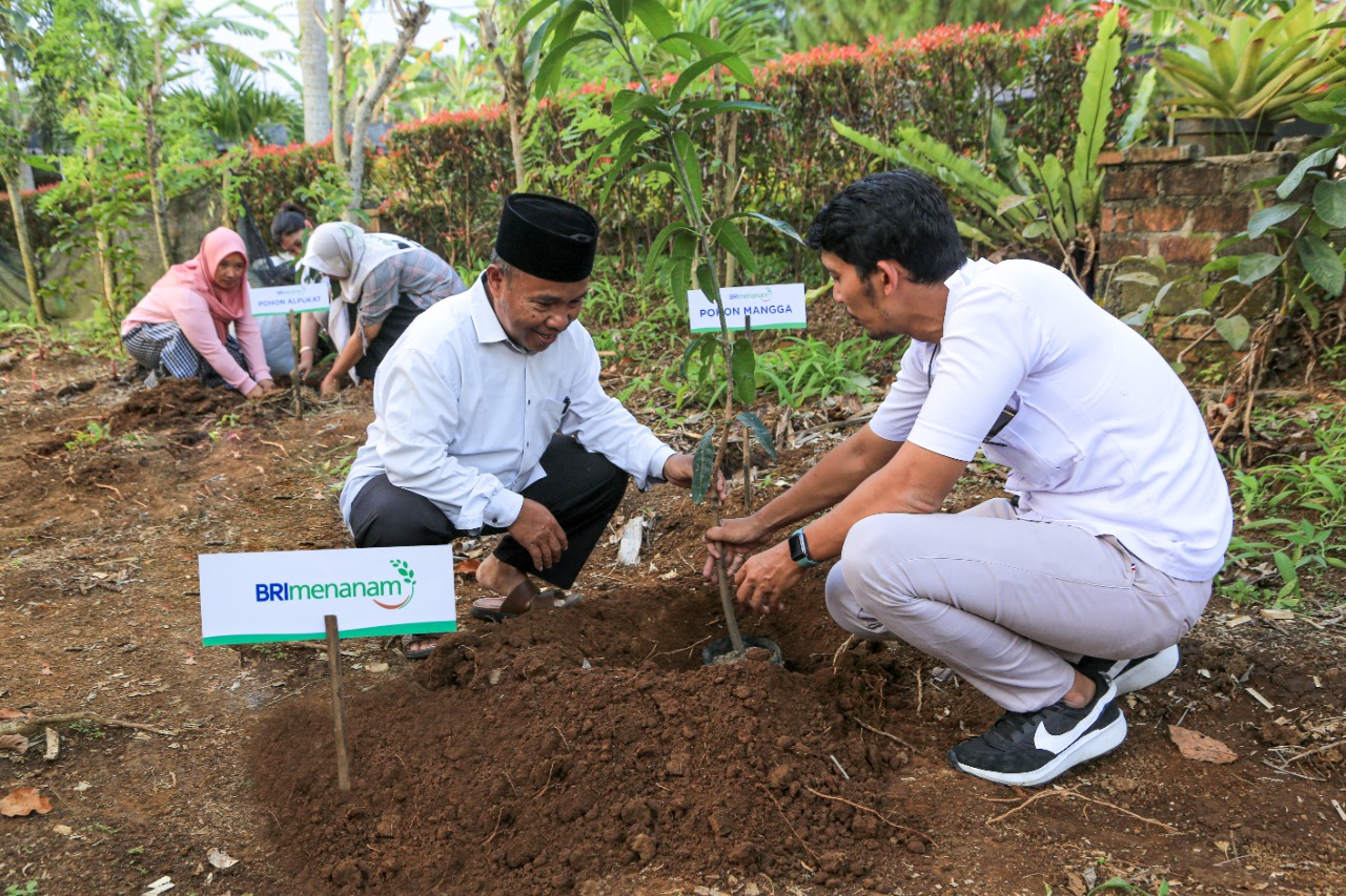 Dukung Pengurangan Emisi, BRI Menanam Proyeksikan Penyerapan Karbon Hingga 108 Ribu Ton CO2