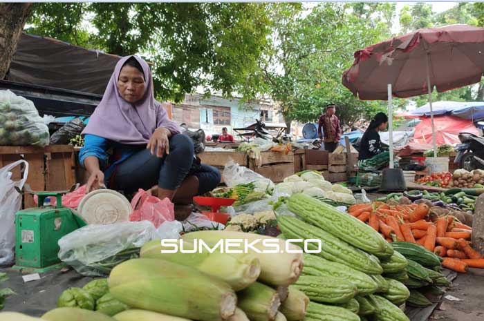 Sembako di Palembang Normal PascaNataru 2023, Harga Daging Turun