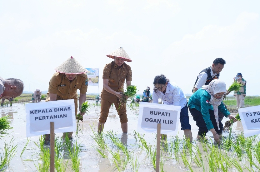 Bupati Ogan Ilir Pimpin Gerakan Tanam Padi Menyongsong Tantangan Iklim El Nino Nasional