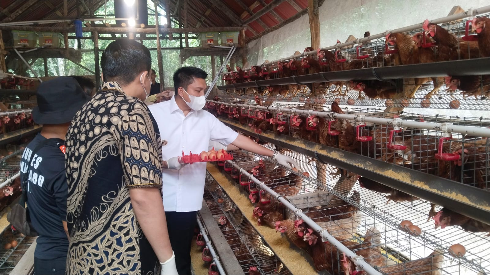 Perkuat Rantai Ekonomi Desa, Bupati Ogan Ilir Dorong SPPG Kerjasama dengan BUMDes untuk Suplai Bahan Baku