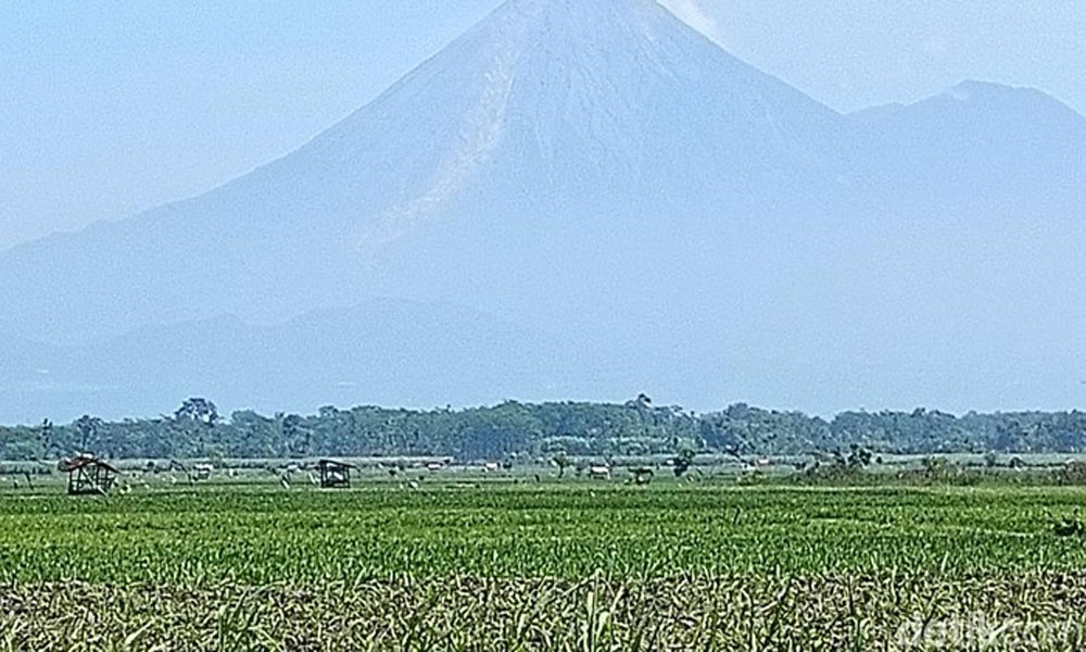 Gunung Semeru Erupsi, Tinggi Kolom Abu Mencapai 700 Meter