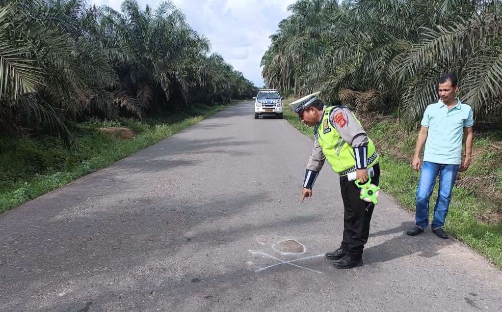 Tabrak Sapi, Warga Sarolangun Tewas di Jalan Lintas Sungai Lilin Keluang Muba