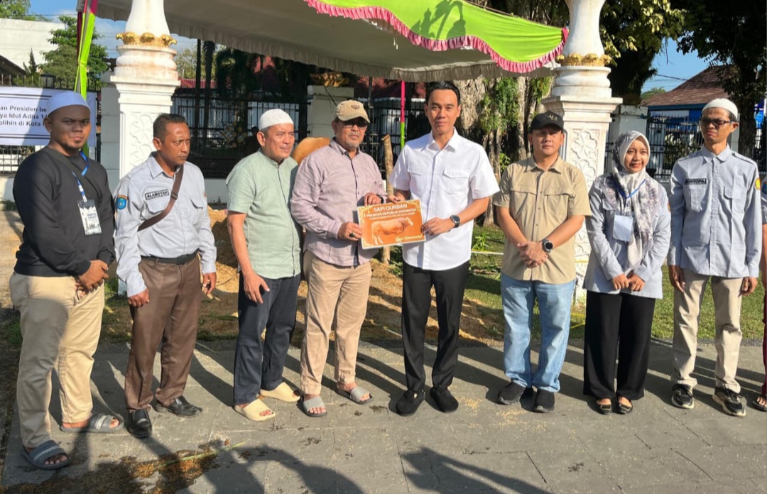 Sapi Simental 1,1 Ton Milik Peternak OKI Jadi Pilihan Kurban Presiden Prabowo