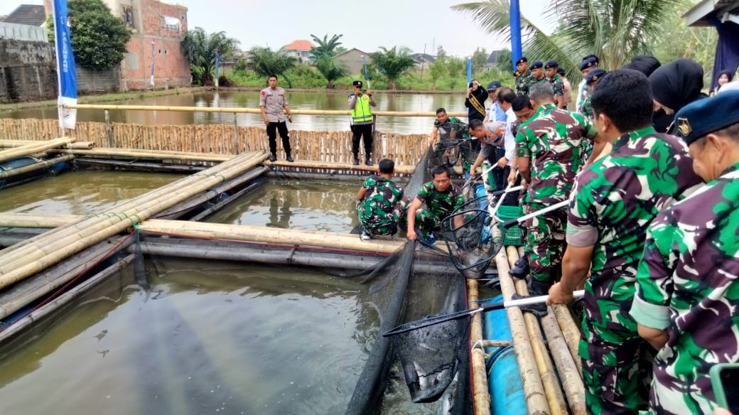  Pangkalan TNI AL Palembang Tabur Ribuan Ikan Lele dan Nila Merah