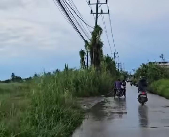 Ilalang Setinggi Kabel Listik Ganggu Pandangan, Warga Lapor Akun Wako Wawako Palembang, Peran Lurah Camat?