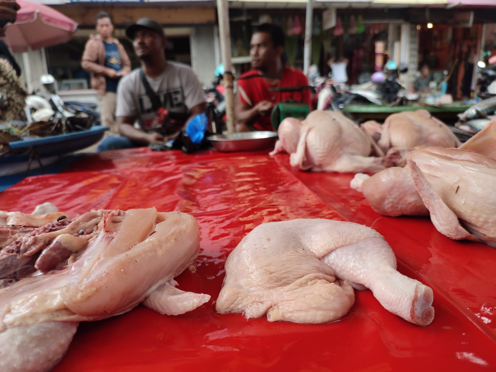 Update Harga Bahan Pokok di Kota Palembang, Hari Ini Kamis, 20 Juli 2023, Daging Ayam Ras dan Cabai Turun