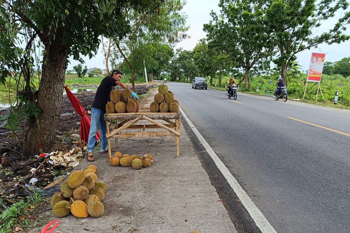 Musim Durian Tiba, Pedagang Dadakan Penuhi Jalan Lintas Timur Kayuagung