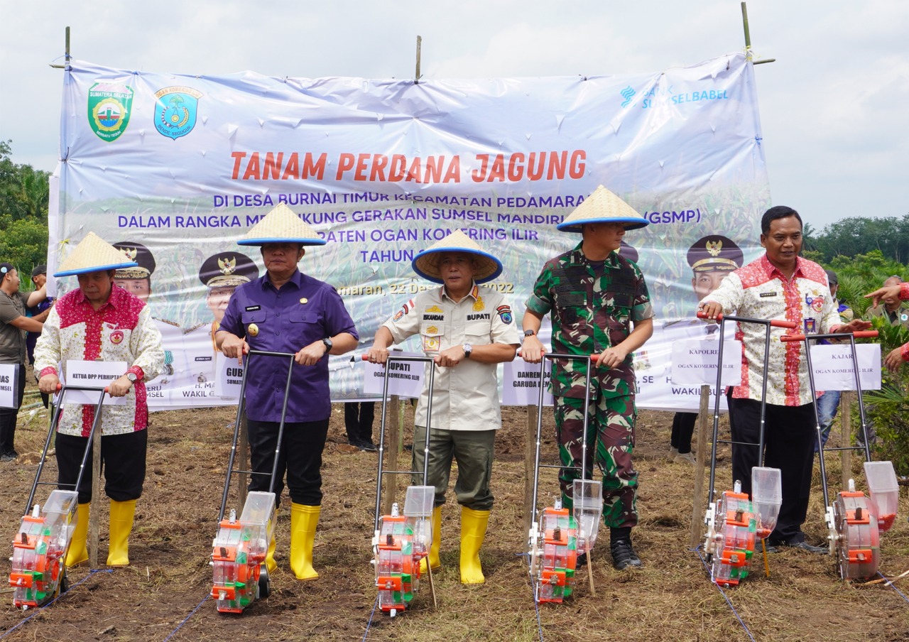 Ogan Komering Ilir Jadi Kawasan Pengembangan Jagung Berbasis Korporasi Petani 