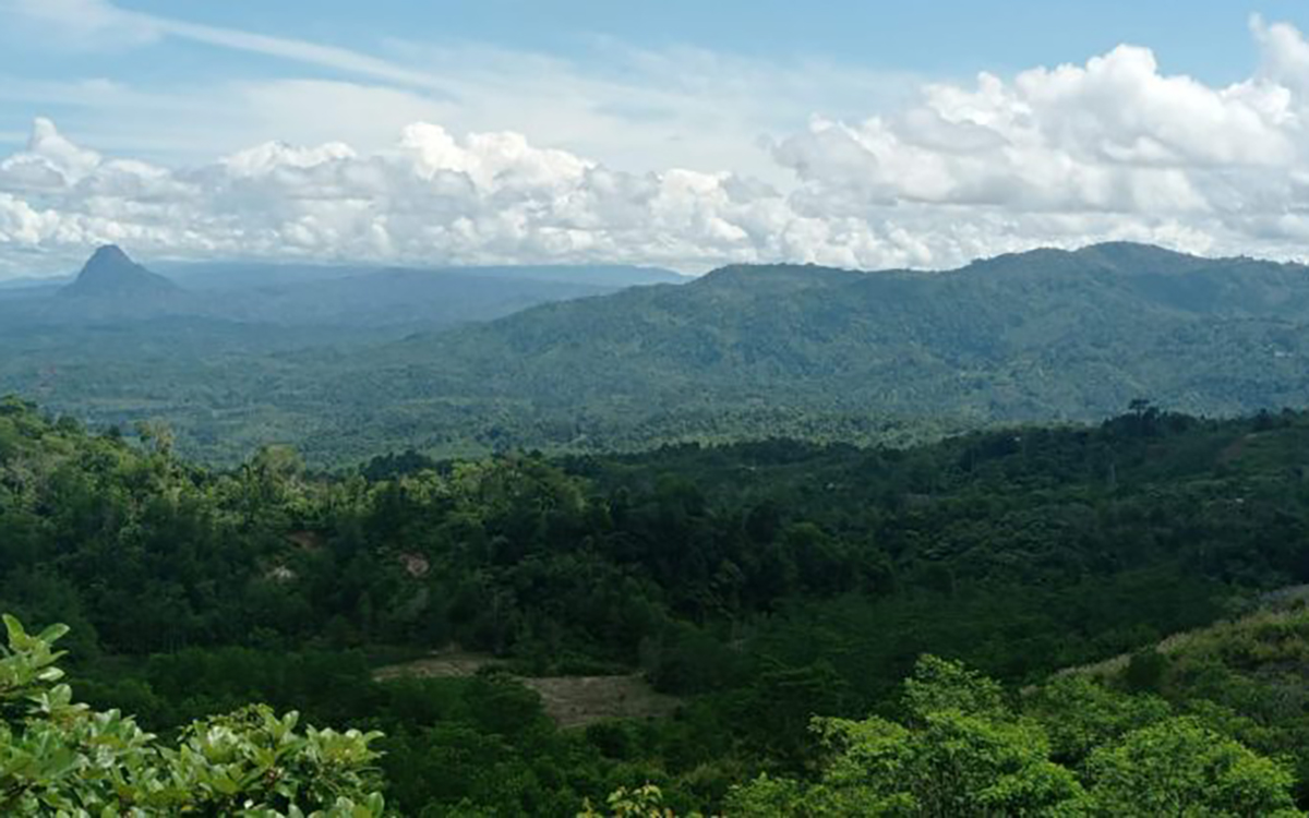 Ladang Emas Provinsi Termiskin Kedua di Sumatera Ini Tersimpan Dalam Hutan Lindung, Jumlahnya Diprediksi Kalah