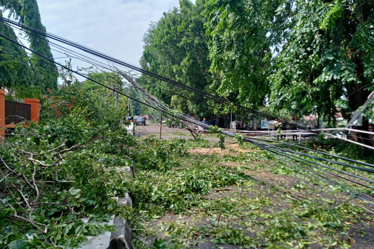 Puting Beliung Hantam Muara Enim: Puluhan Rumah Rusak, Pohon Tumbang, dan PLN Padam Total Selama 9 Jam