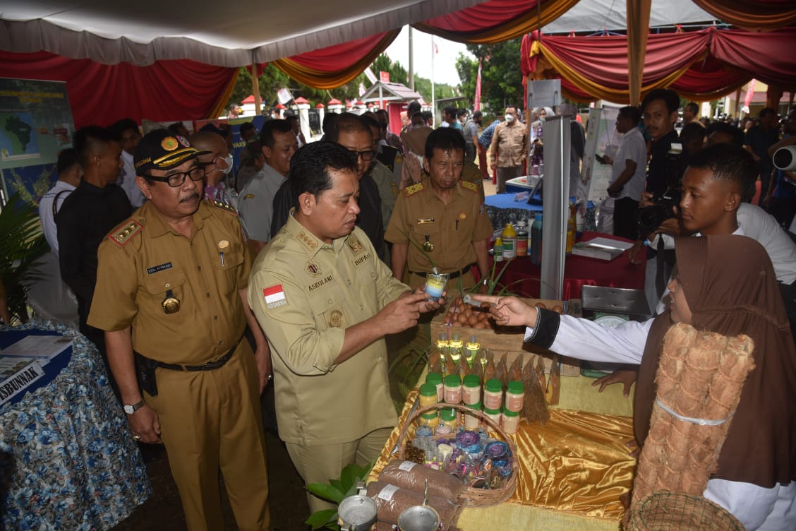 Banyuasin Menjadi Lokasi Pengembangan Kawasan Sapi Potong